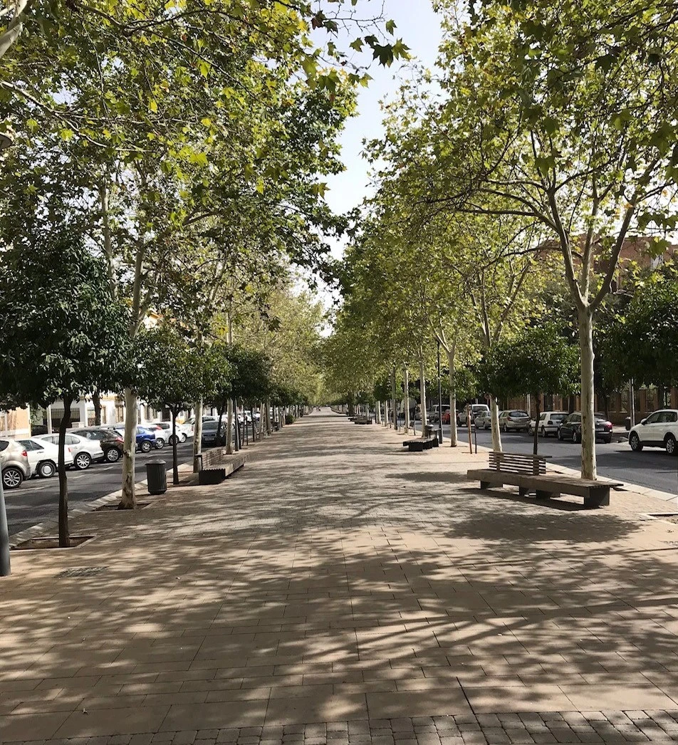 Tree lined boulevard in Cordoba, but no people around. Photo by the author.