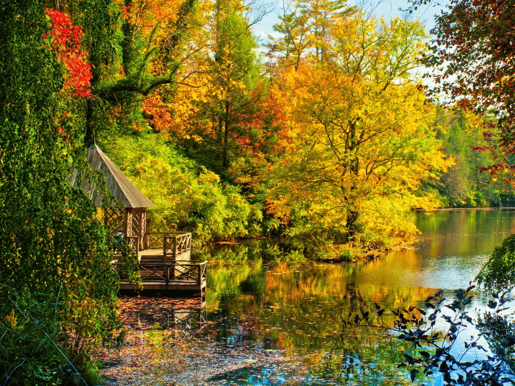 Fall weather, a gazebo sits on the edge of a lake in Asheville, North Carolina